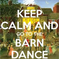 It's A Barn Dance. by Big Love Project
