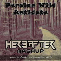 PERSIAN WILD ANTIDOTE {HEREAFTER MASHUP} by Hereafter Official