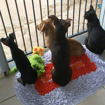 Carlos Alberto Costa