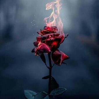 Thapelo Tefo Moletsane