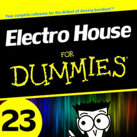 Electro House for Dummies 23 by Kill Yourself