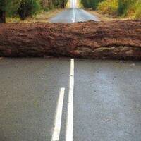 DeaneTR & VibeTribe Healing - Jenny McBride - Aisles Where the Dead Sleep by Warriorpoets