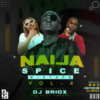 !NAIJA SPICE - 4 MIXTAPE_DJ BRIOX by Dj Briox