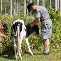 Vaquero, vaquero by Hans Krauß