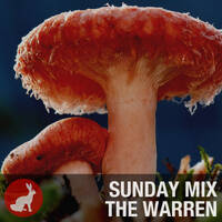 Tipsy Sunday @ The Warren by OmBabush