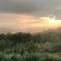 all about yve by Roman Schwarz