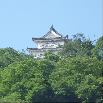 uenisi