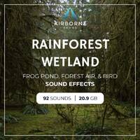 Nature Field Recordings