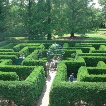 Gilbert Useyourmind Phuthi