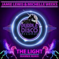 Jamie Lewis ft Michelle Weeks-The Light (Mannix Extended Disco Mix) Snippet by MANNIX