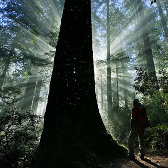 Universova Евстифеева Елена