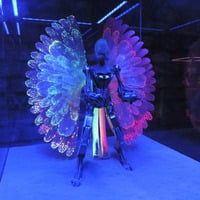 ZENIT - Künstler - Andreas Weingärtner by Radio X Interviews