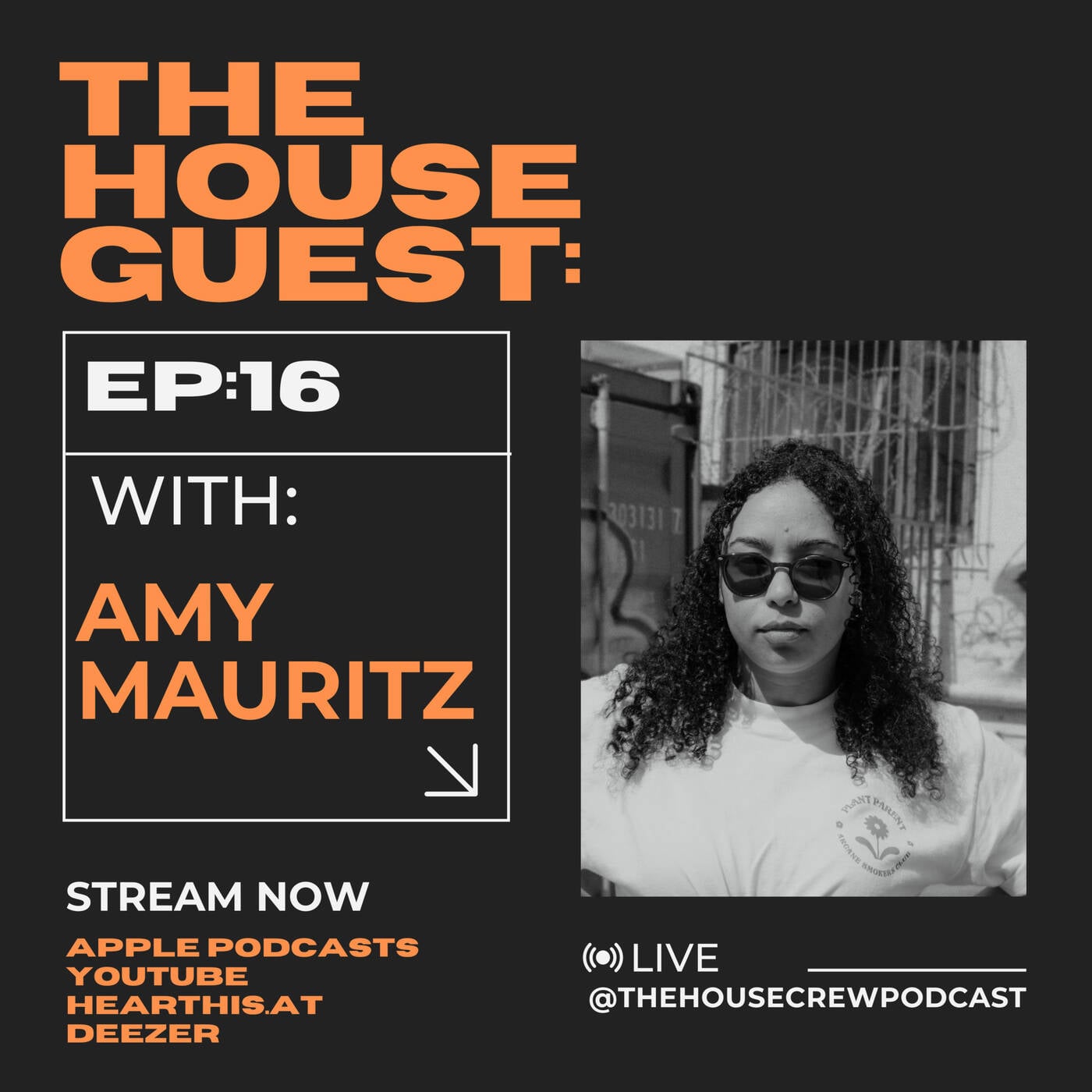 Deep House Mix | The House Guest : Amy Mauritz 016