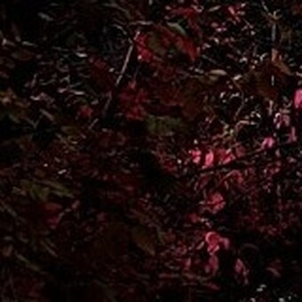 Ram&Atilde;&cedil;n Lk&Atilde;&cedil;