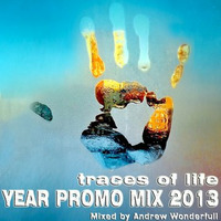 Year Promo Mix 2013 by Andrew Wonderfull