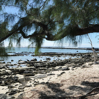RBYN - Endless Island (Sunday Joint) by Blogrebellen
