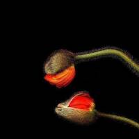 2017 - 05 - 07 20h58m17 by SpaceDrifter