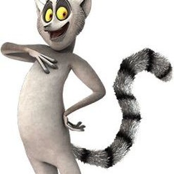 Lehlogonolo Mashigwana