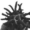 Mandla Craig Twala