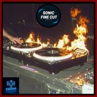 Sonic Fine Cut nº 290 - All Over the World New Alternative/Post Punk/Gothic/DarkWave Music and more with Roque Duarte. by RoqueD