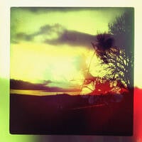 When all is said and done // Jungle Mixtape by Crabs Kitchen