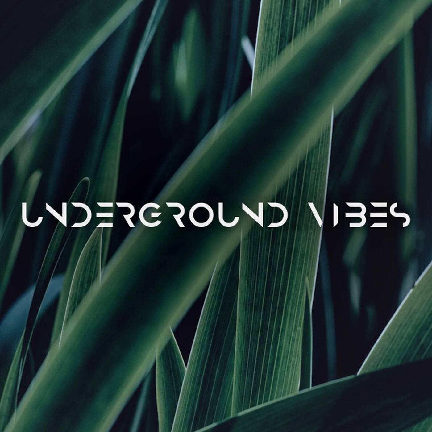Knaiz - Underground Vibes #367 (2024.08.04) episode artwork