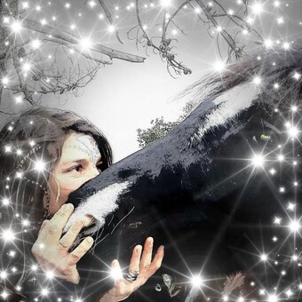 L'&eacute;toile De la Macchia