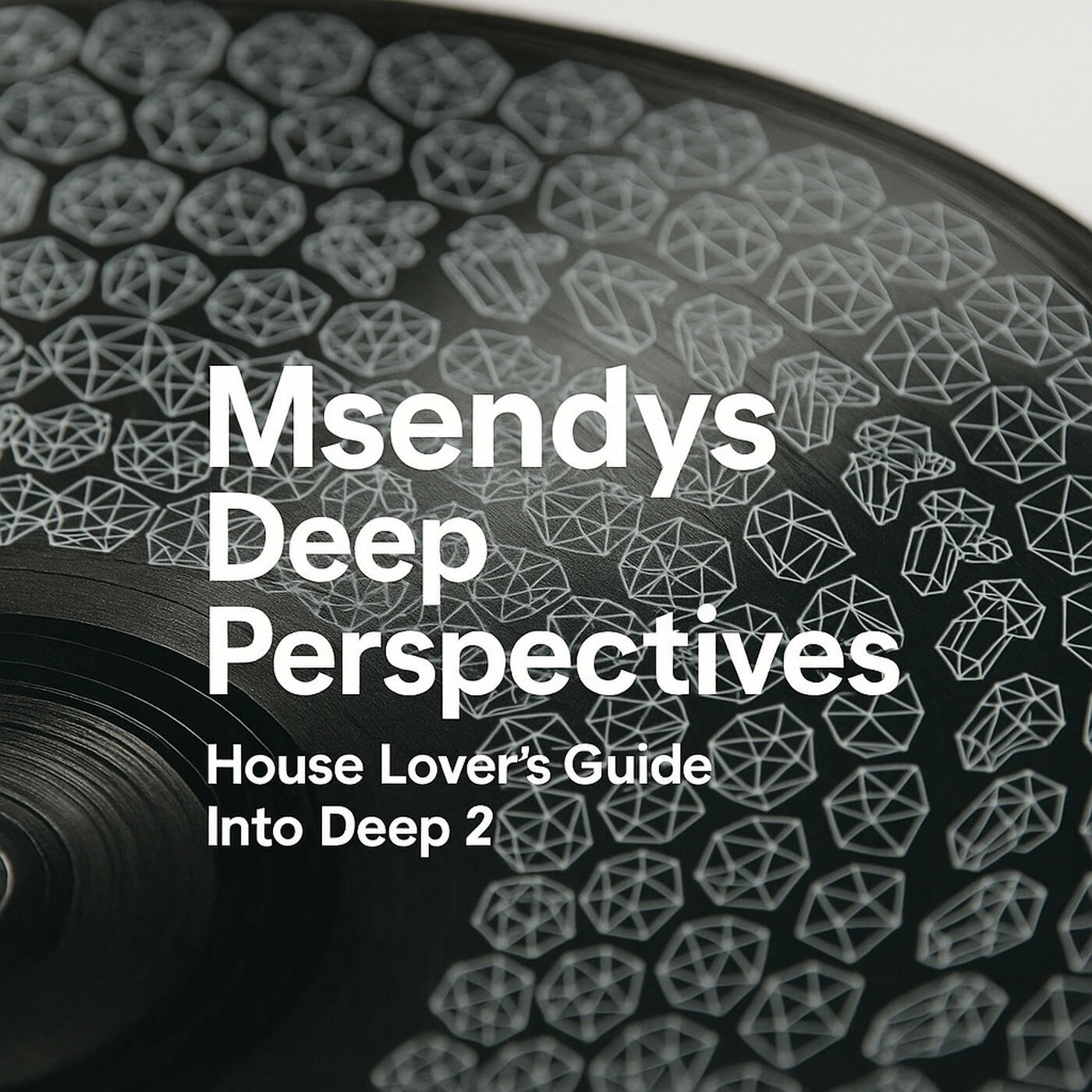 Msendy\'s Deep Perspectives