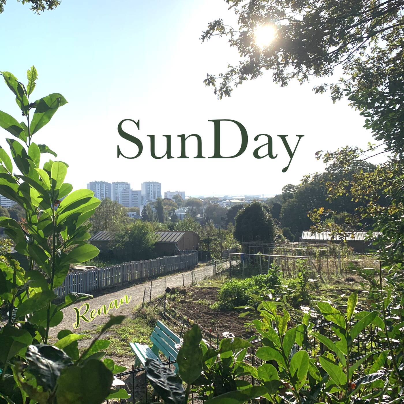 renan.sunday episode artwork