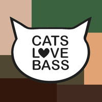 Gaston Zani - This One (Original Mix)[Catslovebass] by Gaston Zani