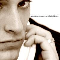 Digital Snake - Mixsets