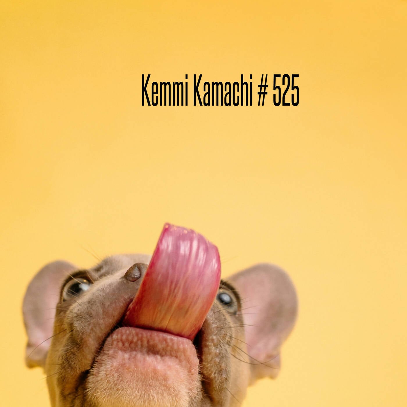 Kemmi Kamachi # 525 episode artwork