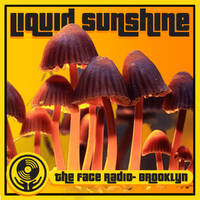 Bass &amp; Bliss - Hypnotic Mushroom House - Liquid Sunshine @ The Face Radio - Show #268 by Liquid Sunshine
