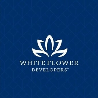 whiteflower01