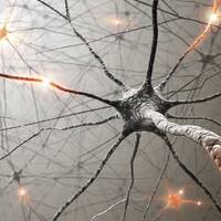 free tek nomaden mixes 