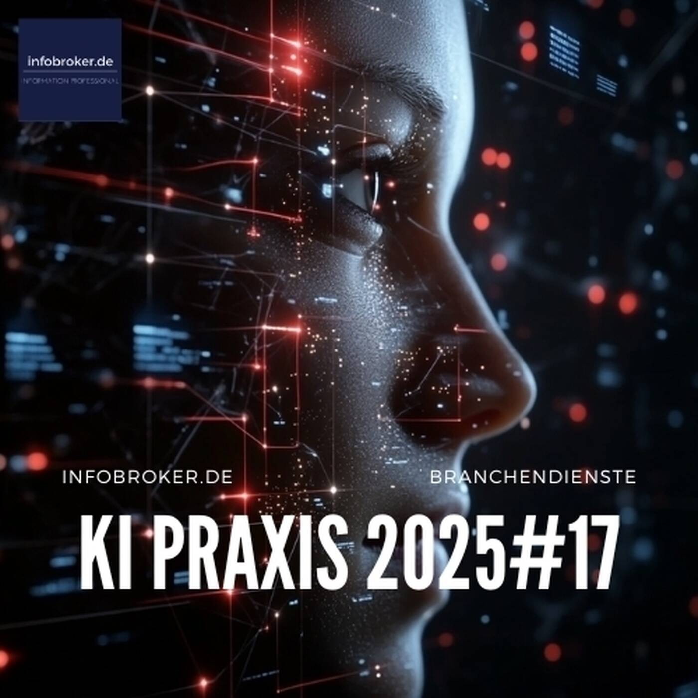 KI Praxis  – 2025#17 – Künstliche Intelligenz in Branchen und Märkten episode artwork