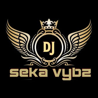 DJ Seka Vybz