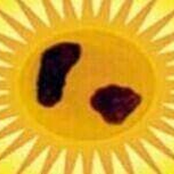 Santoshi Prachaar Records