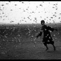 LA PLAGA by Serg.io/Dead Alchemist