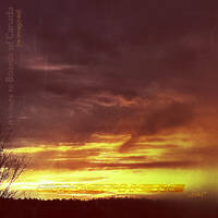 "cold" (1st tribute to Boards of Canada) re-imagined by EMOSPHERE