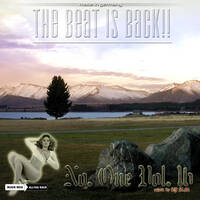 DJ AM No. One 16 by Mixkatalog