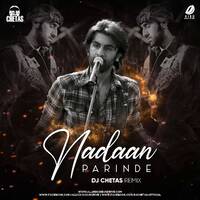 Nadaan Parinde (Remix) - DJ Chetas by All Indian DJs Drive