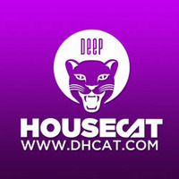 Deep House Cat Show - The Original Mix - feat. Markus Sieger by Deep House Cat Show