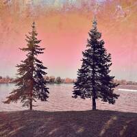 I already wrote down the words. by SIRQBASS