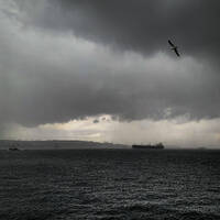 Ay Palas 02.03.2026 @ ApAcik Radyo by Ay Palas