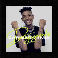 DEEJAYRANKS CARIBBEAN VIBES (DANCEHALL) 2024 by DeejayRanks