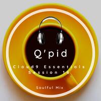 Cloud9 Essentials Session 16 (Soulful Mix By Q'pid) by Cloud9 Essentials