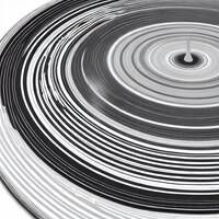 29.Stadtverordnetenversammlung Frankfurt an der Oder 