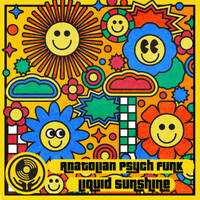 Anatolian Psychedelic Funk &amp; House - Liquid Sunshine @ The Face Radio - #156 - 12-06-2023 by Liquid Sunshine