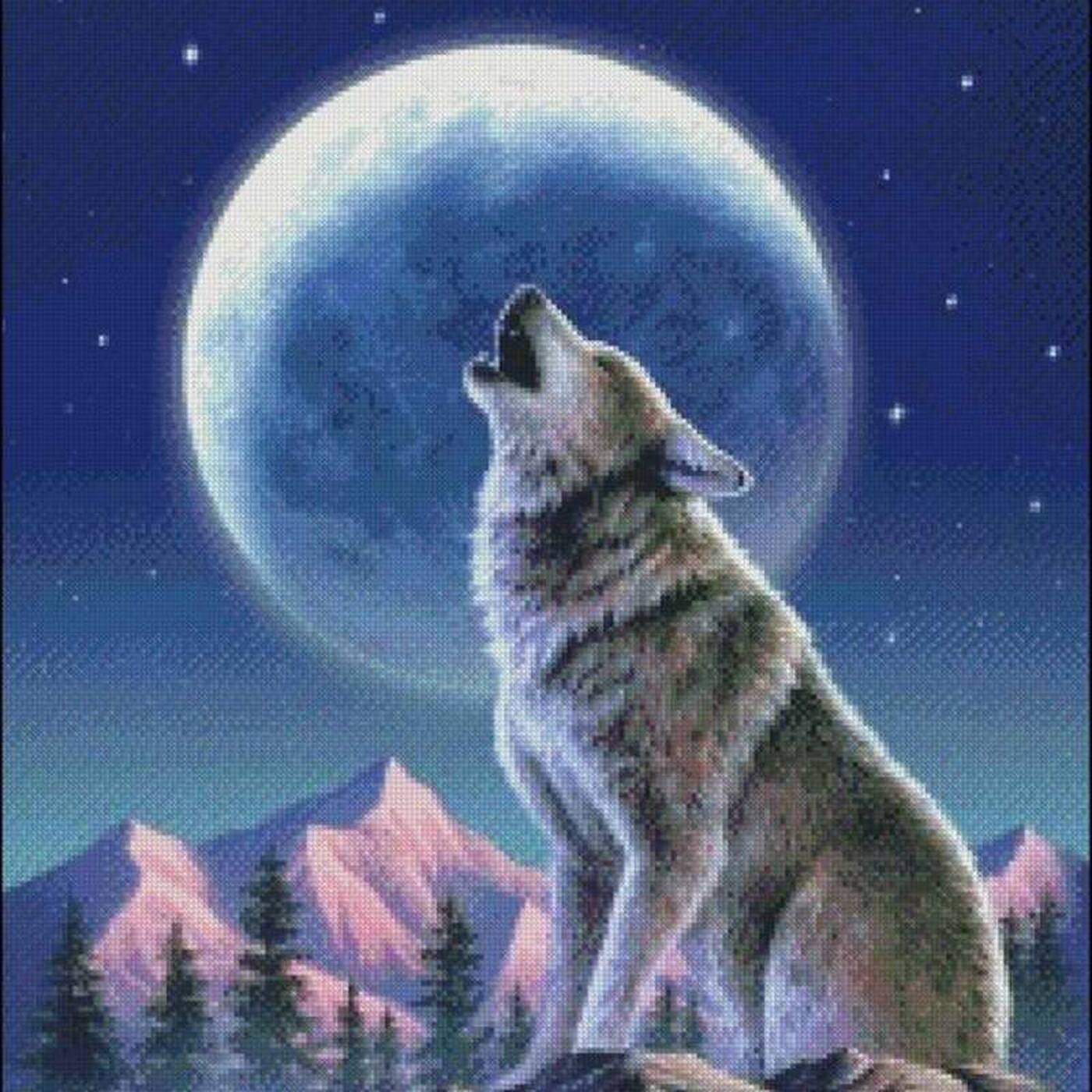 mikey's music 02 wolf's world mix - dj howling wolf - 11.08.21 episode artwork